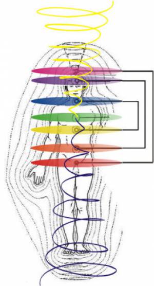 Unser Ziel ist es lebendige Büroräume zu schaffen. Mit Hilfe von Feng Shui können Büros optimiert werden.